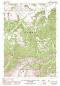 7.5' Topo Map of the Elkhorn Peak, WY Quadrangle