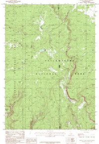 7.5' Topo Map of the Buffalo Lake, ID Quadrangle