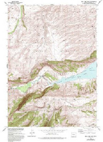 7.5' Topo Map of the Bull Lake West, WY Quadrangle