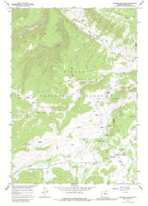 7.5' Topo Map of the Burgess Junction, WY Quadrangle