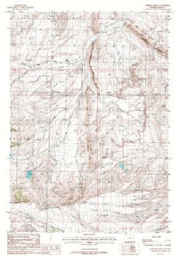 7.5' Topo Map of the Horner Creek, WY Quadrangle