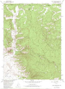 7.5' Topo Map of the Kings Canyon, CO Quadrangle