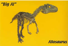 10 Pack - "Big Al" (postcard) (2005)