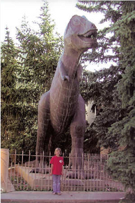 10 Pack - Tyrannosaurus Rex (postcard) (2005)
