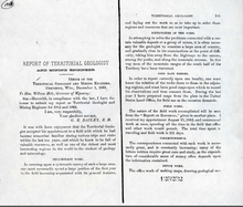 Report of Territorial Geologist (1883)
