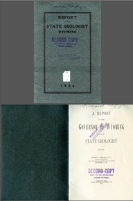 Report of the State Geologist Wyoming (1904)