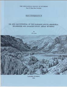 Oil and Gas Potential of the Washakie (South Absaroka) Wilderness and Adjacent Study Areas, Wyoming (1985)