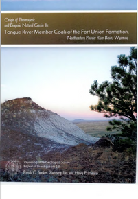 Origin of Thermogenic and Biogenic Natural Gas in the Tongue River Member Coals of the Fort Union Formation, Northeastern Powder River Basin, Wyoming (2007)