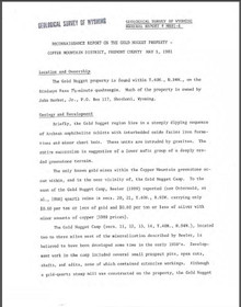 Reconnaissance Report on the Gold Nugget Property: Copper Mountain District, Fremont County (1981)