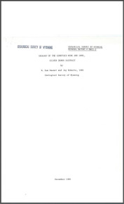 Geology of the Comstock Mine and Lode, Silver Crown District (1981)