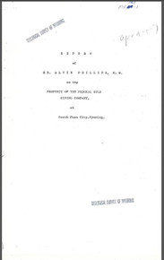Report of Mr. Alvin Phillips, E.M. on the Property of the Federal Gold Mining Company, at South Pass City, Wyoming (1907)