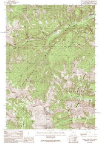 7.5' Topo Map of the Plenty Coups Peak, WY Quadrangle