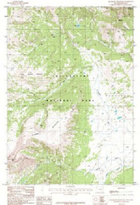 7.5' Topo Map of the Quadrant Mountain, WY Quadrangle