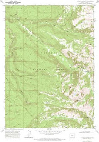 7.5' Topo Map of the Rammel Mountain, WY Quadrangle