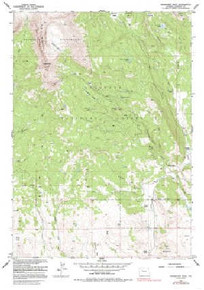 7.5' Topo Map of the Ramshorn Peak, WY Quadrangle