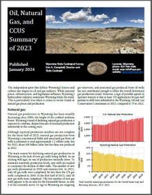 Oil, natural gas, and CCUS summary of 2023. (2024)