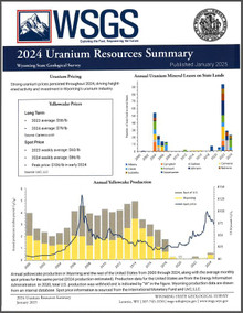 2024 Uranium Resources Summary (2025)