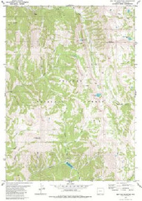 7.5' Topo Map of the Red Top Mountain, WY Quadrangle