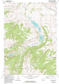 7.5' Topo Map of the Torrey Lake, WY Quadrangle