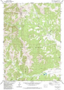 7.5' Topo Map of the Triple Peak, WY Quadrangle