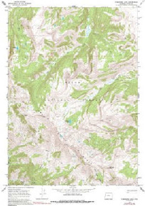 7.5' Topo Map of the Turquoise Lake, WY Quadrangle