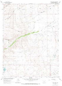 7.5' Topo Map of the Walck Ranch, WY Quadrangle