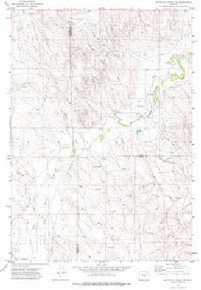 7.5' Topo Map of the Whitetail Creek NE, WY Quadrangle