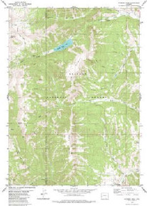 7.5' Topo Map of the Wyoming Peak, WY Quadrangle
