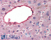 Anti-ALB / Serum Albumin Antibody (Biotin) IHC-plus LS-B325