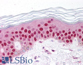 Anti-GDF9 / GDF-9 Antibody (aa45-59) IHC-plus LS-B809