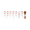 TMR (Red) TUNEL Cell Apoptosis Detection Kit