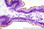 FD Cresyl Violet Solution