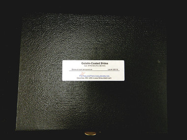 Gelatin-Coated Microscope Slides