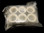 Section Incubation Plate with 6 Inserts