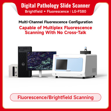 Digital Pathology Slide Scanner (Brightfield + Fluorescence)