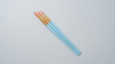 Brushes For Histology Section Manipulation, medium, 3 pcs/pack