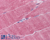 Anti-WDR77 / MEP50 Antibody (clone 3F10) IHC-plus LS-B4555