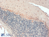 Anti-KCNAB1 Antibody (clone S9-40) IHC-plus LS-B8150