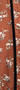 Sleeve trim detail