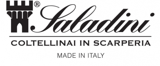 saladini-logo.jpg