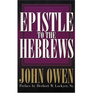 Epistle to the Hebrews by John Owen (Paperback)