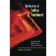 The Doctrine of Endless Punishment by William G.T. Shedd (Paperback)