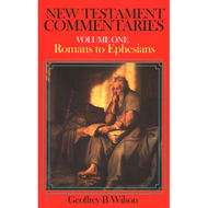 New Testament Commentaries Vol 1 - Romans to Ephesians by Geoffrey Wilson (Paperback)