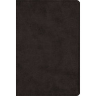 ESV Large Print Bible (Black Imitation Leather)