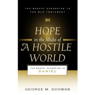 Hope in the Midst of a Hostile World by George M. Schwab (Paperback)
