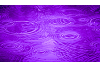 purplerainlft.jpg