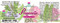 Progestelle Label - contains only Bioidentical Natural Progesterone and MCT oil