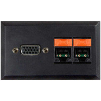 Telecom Plate with (2) RJ-45 and (1) 15 Pin HD VGA F/F