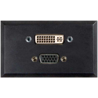 Telecom Plate with (1) DVI Female/Female and (1) 15 Pin HD VGA F/F