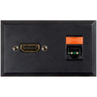 Telecom Plate with (1) RJ-45 and (1) HDMI F/F